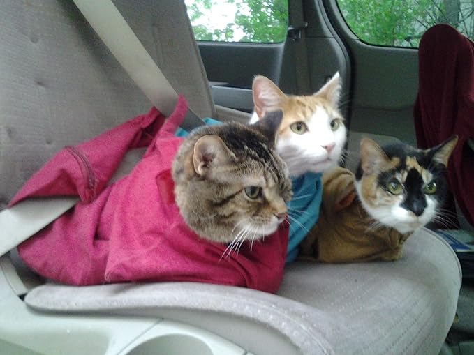 Cozy Comfort Carrier - Small Lavender Cat Carrier Soft, Cat Restraint Bag and Cat Sling Carrier for Grooming, Vet Visits, Medication Administration, Dental Care, and Nail Trimming