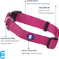 Blueberry Pet Essentials Small Dog Collar in Very Berry | Adjustable & Eco-Friendly Durable Nylon Strap | Classic Collar for Small Dogs, Boy & Girl Pets