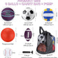Realspring 6 Pcs Multi Sport Ball Set for Kid Teen Operation Christmas Official Size Football, Basketball, Soccer, Volleyball, Playground Ball, Baseball with Sports Equipment Bag Pump
