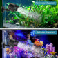 AQQA Wave Maker Pump, 2100GPH Aquarium Circulation Pump 360 Degree Rotatable Submersible Powerhead Pump with Magnet Suction Base for Marine and Freshwater Aquariums (15W)