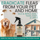 Trail Guard Natural Extra Strength Insect, Flea and Tick Spray for Dogs, Cats, People & Home (16oz, Cedarwood & Rosemary)