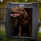 Dakota 283 Crate - Canine Rough and Tough Economy Kennel (Dark Granite, Intermediate)