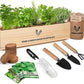 5 Herb Seeds Garden Starter Kit with Complete Planting Kit & Wooden Flower Box, Growing into Basil, Parsley, Rosemary, Thyme, Mint for Kitchen Windowsill Herb Garden DIY