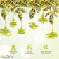 Greenhilltea traditional health herbs, Premium Honeysuckle buds, honey suckle tea NO GMO, NO Additives, Caffeine free dried herbal tea 5 OZ