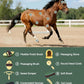 11PCS Horse Grooming Kit Curry Comb Sweat Scraper Horse Bathing Supplies Grooming Tools with Storage Bag Pasture Glow