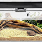 Reptile PC Terrarium Amphibian Tank Spider Enclosure Snake Cage 7x11.8x5.9inch Suitable for breeding Leopard Gecko,Frog,Hermit Crab,Lizards,Isopod,Tarantula,Turtles,Chameleons,Jumping Spiders