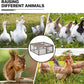 MoNiBloom Foldable Chicken Run Wood Chicken Coop Rabbit Hutch No Assembly Required Indoor/Outdoor Small Animal Nesting Box Portable Habitat Enclosure Spacious Pet Playpen 45.5 x 42.5 x 20 inch Grey