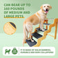 Dog Steps for Bed,24 Inches 5 Step Dog Stairs for Senior Pets to Get On 30 Inches High Beds/Car,Made of Bamboo Can Support Large Dogs Weighing Up to 160 LB