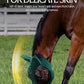 Equinavia Bug Out Fly Mask | Against Flies, Insects, UV Rays - Turquoise - Horse