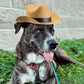Yewong 3 Pieces Pet Hat Pet Formal Top Hat Mexico Sombrero Hat Cowboy Hat Dog Cat Pet Costume Hat for Halloween Party Photo Props Supplies one Size