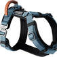 MADE TO ROAM Premium Explorer Harness - Y-Shaped Dog Harness with Adjustable Durable Nylon, Soft Padding, Metal Buckles and Leather Handle for Small, Medium, Large Dogs (California Horizon, Size 5)