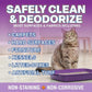 OdorPet Pet Stain Remover and Odor Eliminator - 16 Oz Ready To Use Spray, Non Staining, Professional Strength, Lavender Scent by Alpha Tech Pet