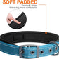 Fida Heavy Duty Dog Collar, Ultra Comfortable Soft Neoprene Padded, Adjustable Reflective Nylon Pet Collar with Durable Metal Belt Buckle for Small Breeds (S, Blue)