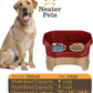 Neater Pet Brands Neater Feeder Deluxe Mess Proof Dog Bowls Elevated for Large Dogs Over 40 lbs, Made in USA, No Spill Raised Dog Food Bowl Stand Feeding Station, Food and Water Bowl Set, Cranberry