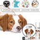 The Blissful Dog Brittany Spaniel Nose Butter for Dry, Cracked Skin, Lick-Safe Dog Nose Balm with Moisturizing Shea Butter, Almond, Olive, and Essential Oils, Pet Supplies, Uncented, 0.15 oz.