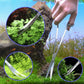 5 Pcs Reptile Feeding Tools Set with Silicone Tips - Extra Long Straight&Curved Tongs, Spoons, Scissors - Stainless Steel Terrarium Feeder Kit for Bearded Dragons, Lizards, Snake, Spiders, Aquarium