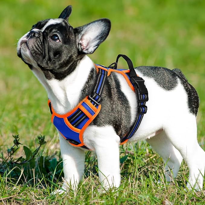 Eagloo Dog Harness Small Sized Dog, No Pull Service Vest with Reflective Strips and Control Handle, Adjustable and Comfortable for Walking, No Choke Pet Harness with 2 Metal Rings, Blue & Orange, S
