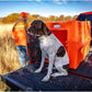 Dakota 283 Crate - Canine Rough and Tough Economy Kennel (Orange, Large)