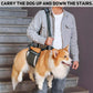 COODEO Mobility Dog Lift Harness, Emergency Carry Sling, Pet Rear Leg Support Rehabilitation Lifts Vest, Dog Carrier for Senior Dogs Joint Injuries, Arthritis (Military Green, M)
