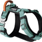 MADE TO ROAM Premium Explorer Harness - Y-Shaped Dog Harness with Adjustable Durable Nylon, Soft Padding, Metal Buckles and Leather Handle for Small, Medium, Large Dogs (Florida Seaside, Size 6)