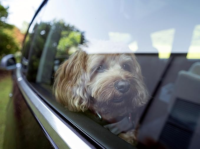 Snoozer Luxury Lookout Pet Car Seat, Small Luxury I, Navy Mutt