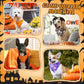 Preboun 200 Pcs Holiday Dog Bandanas Bulk Fall Halloween Christmas Bandanas for Dogs Triangle Kerchief Bib Scarf Set for Pet Party Costume Photo Props Accessories Pet Shops Groomers, 25 Styles
