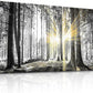 Yxbhhym-Black and White Forest Wall Art Prints Sunset Landscape Canvas Picture for Living Room Wall Art Trees Artwork for Wall Nature Scenery Poster Painting Bedroom Wall Decor Home Office Wall Décor