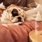 MRS. MEYER'S Clean Day Dog Deodorizing Spray, White Peach Scent, 8oz