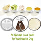 The Blissful Dog Springer Spaniel Nose Butter, Versatile Dog Nose Balm for Dry Nose, Handcrafted Nose Moisturizer, Easy-to-Apply Dog Essentials, Unscented, 1 oz.