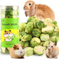 Abizoo Freeze Dried Brussels Sprouts Rabbit and Hamster Chew Treats Resealable Jar for Hamsters Bunny Guinea Pigs Groundhogs Natural Fiber Vitamin Snacks