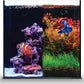 Ultum Nature Systems Dual AIO - Freshwater/Saltwater Compatible All in One Rimless Tank with Triple Chamber Filtration System, Integrated Filter Aquarium w/Leveling Mat - 11 Gallon, 35A, Black