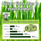 50g Cat Grass Teething Treat, Delicious Cat Grass Teething Snack Edible Cats Chew Toy for Teeth Cleaning and Hairball Removal