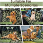 Dog Car Seat Cover, Durable Waterproof Scratch Proof Nonslip Dog Hammock, Pet Back Seat Covers with Pocket for Cars SUVs and Trucks - S, Camouflage