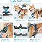 rabbitgoo Dog Harness No Pull with 2 Leash Clips, Adjustable Soft Padded, Reflective Oxford No Choke Pet Vest with Easy Control Handle for Medium Sized Dogs, Blue, M