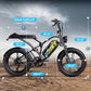 Electric Bike for Adults 1500W Peak 20" Fat Tire All-Terrain E-Bike 80-120Miles 30MPH Electric Dirt Bike for Road Sand Mountain Snow - 48V 20/30AH Battery Powered Electric Motorcycle