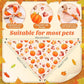 Chunful 30 Pcs Fall Bandanas for Dogs Autumn Dog Bandanas with Maple Leaves Pumpkin Patterns Soft Bibs Adjustable Triangle Doggie Scarf for Small Medium Large Pet Fall Costume 25.6 x 17.7 x 17.7 Inch