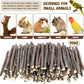 900g/2lb Small Apple Sticks Animals Molar Wood Treats Toys for Rabbits Chinchillas Guinea Pig Hamster Gerbil Parrot Bunny and Small Animals Chew Stick Toys Treats