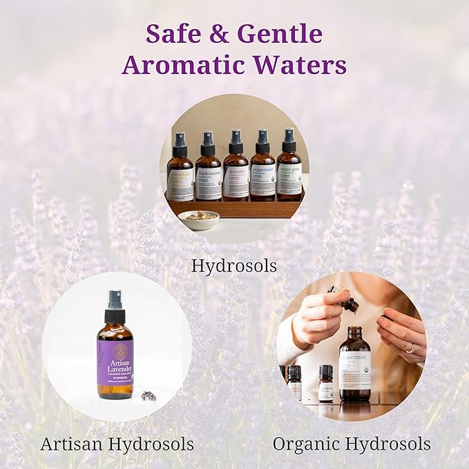 Aromatics International Frankincense Hydrosol 100ml | Woody Aromatic Spray for Home