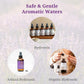 Aromatics International Lemon Balm Hydrosol 100ml | Fresh Aromatic Spray for Daily Use