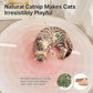 Potaroma Loofah Cat Chew Toys with Catnip and Silvervine, 3PCS Interactive Kitten Loofa Dental Teething and Biting Catnip Toys for Cat's Dental Cleaning, 3.2 Inches
