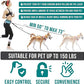 PetAmi Hands Free Dog Leash, Running Leash Belt for Walking, Jogging, Waist Zipper Pouch with Poop Bag Dispenser, Dual Padded Handles, Reflective Durable Bungee Single, Turquoise, 1
