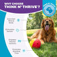 Outward Hound by Nina Ottosson Treat Tumble Interactive Puzzle Ball Dog Toy, Level 1 Beginner, Pink, Large (5.75" Diameter)