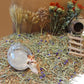 Hamster Bath Sand, 15.4lb Dust Free Desert Sand or Potty Litter Sand for Hamster Chinchillas Gerbil Syrian Mice Small Animals(Beige)