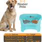 Neater Pet Brands Neater Feeder Deluxe Mess Proof Dog Bowls Elevated for Large Dogs Over 40 lbs, Made in USA, No Spill Raised Dog Food Bowl Stand Feeding Station, Food and Water Bowl Set, Aquamarine