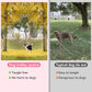 Tresbro Dog Camping Leash, 50ft/75ft/100ft Trolley System for Dogs up to 300lbs, Portable Lightweight Dog Runner Lead for Yard, Reflective Tie Out Cable for Camping, Courtyard, Park, Outside
