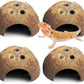 PINVNBY Natural Coconut Reptile Hideouts Lizard, Coco Hut Hermit Crab Hut Aquarium Fish Hide Cave for Small Reptile Crested Gecko Leopard Gecko Spider Snail Climber Toys (4 PCS Natural Surface)