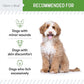 Hypochlorous Acid Spray for Dogs – 8oz Dog Wound Spray for Cuts, Burns, Sores, Abrasions, and More – Non Toxic and Chemical Free HOCI Wound Care – Made in The USA