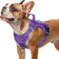 rabbitgoo Dog Harness Small Sized No Pull, Tactical Service Pet Vest with Molle and Control Handle, Adjustable and Reflective Military Harness for Easy Walking and Training, Purple, S