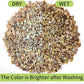 2 lb Natural Pea Gravel Small Pebbles - 3/8 Inch Pebbles for Indoor Plants, Succulents Rocks, Fish Tank Gravel, Terrarium Rocks and Patio Paver Decorative Stones