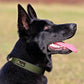 Plutus Pet Tactical Dog Collar, Reflective, Adjustable Heavy Duty Dog Collar, Soft Padded and Comfortable, for Small Medium and Large Dogs (Ranger Green, M)